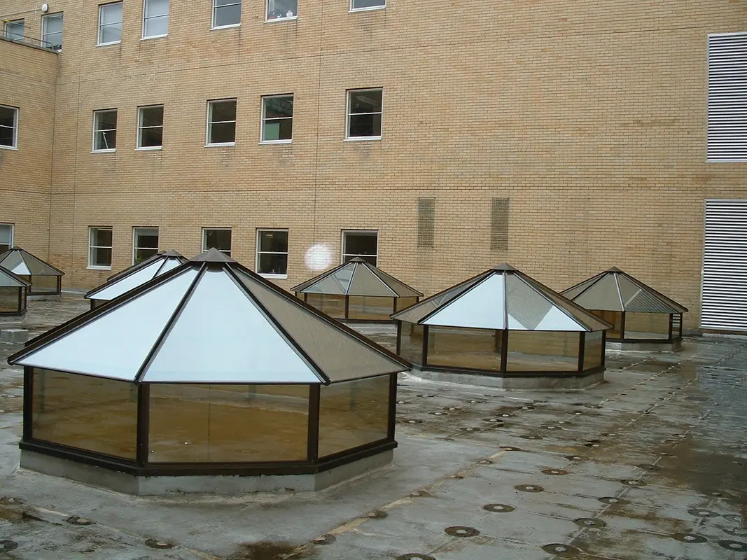 Flat Roof Skylights Kensington